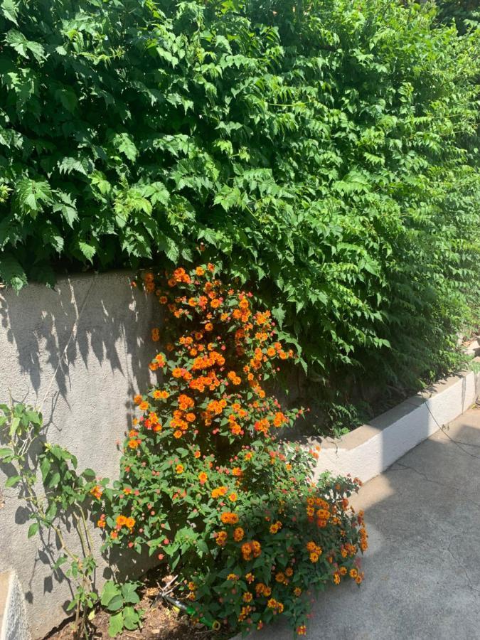 Aida Apartments And Rooms For Couples And Families Free Parking Дубровник Екстериор снимка